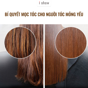 cham soc toc mong yeu toc mong yeu dau goi gung dau goi tri rung toc dau goi moc toc cham soc toc tai nha toc yeu rung nhieu dau goi thao duoc