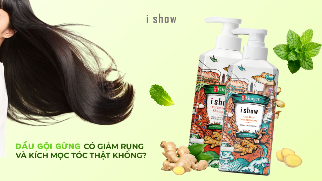 dầu gội gừng, gừng tươi, kích mọc tóc, giảm dầu nhờn