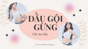 dầu gội gừng cho mẹ bầu dầu gội cho mẹ bầu dầu gội cho bà bầu dầu gội cho bầu dầu gội đầu cho bà bầu dầu gội cho mẹ sau sinh