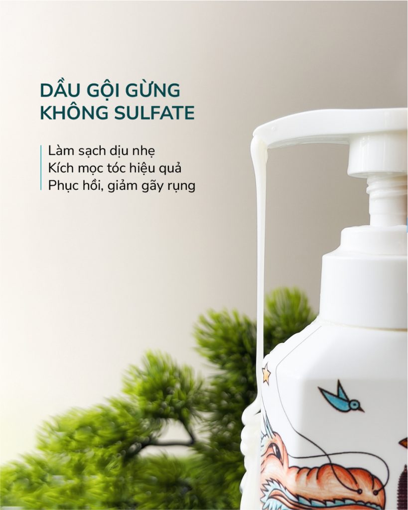 dầu gội không sunfate