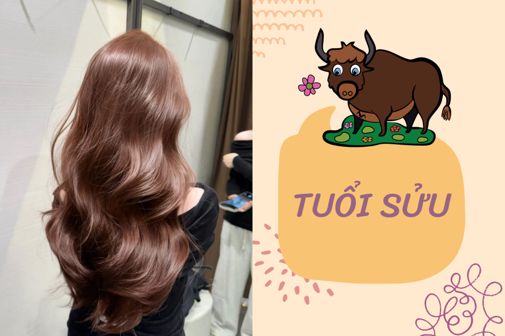 MÀU TÓC HỢP TUỔI SỬU