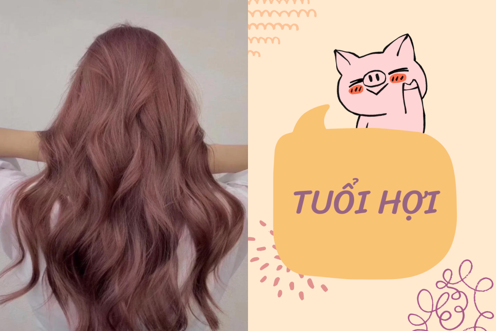 MÀU TÓC HỢP TUỔI HỢI