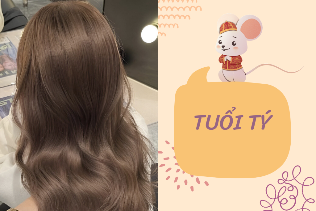 MÀU TÓC HỢP TUỔI TÝ