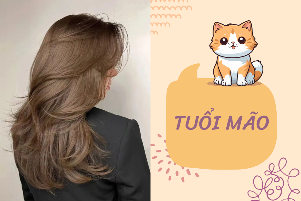 MÀU TÓC HỢP TUỔI MÃO