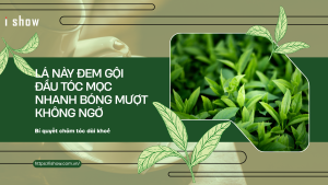 TÓC MỌC NHANH gội đầu giúp tóc mọc nhanh gội đầu bằng gì tóc mọc nhanh lá trà xanh gội đầu gội lá trà xanh mọc tóc nhanh cách gội đầu giúp mọc tóc nhanh lá trà xanh giảm rụng tóc lá trà xanh giúp mọc tóc