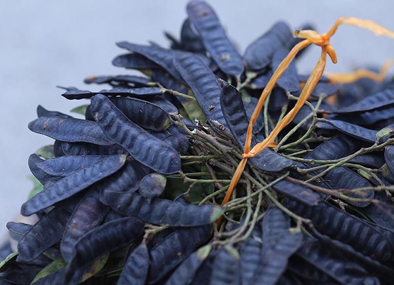 kích thích mọc tóc cách giúp mọc tóc làm gì để tóc mọc nhanh phục hồi tóc tóc dày khoẻ công thức mọc tóc tại nhà nguyên liệu kích mọc tóc mọc tóc nhanh